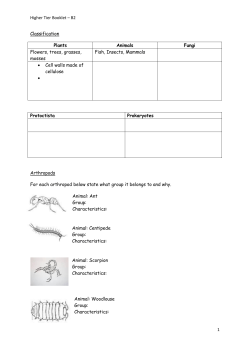 Higher Tier Booklet &ndash; B2 1 Classification Plants Animals Fungi