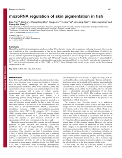 microRNA regulation of skin pigmentation in fish
