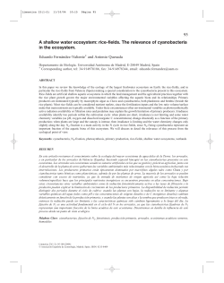 A shallow water ecosystem: rice-fields. The relevance
