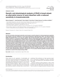 an alternative source of semi