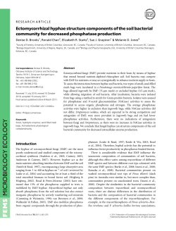 Ectomycorrhizal hyphae structure components of