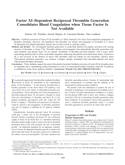 Factor XI&ndash;Dependent Reciprocal Thrombin Generation