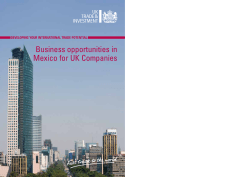 Business opportunities in Mexico for UK Companies