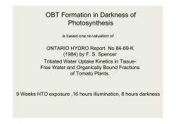 OBT Formation in Darkness of Photosynthesis