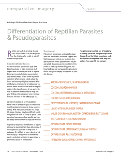 Table - Clinician`s Brief
