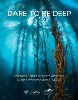 Dare to be Deep