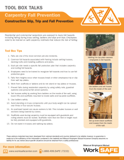 Carpentry Fall Prevention