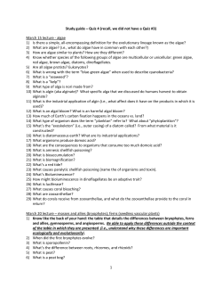 Study guide for Quiz IV