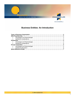 Business Entities: An Introduction