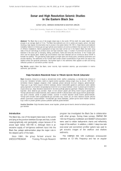 Sonar and High Resolution Seismic Studies in the Eastern Black Sea