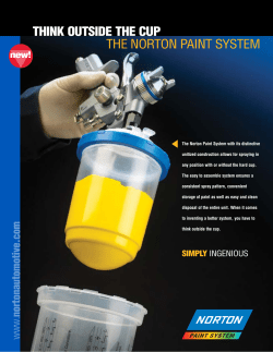 the Norton Paint System PDF