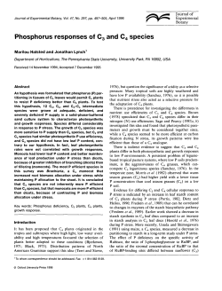 Phosphorus responses of C3 and C4 species