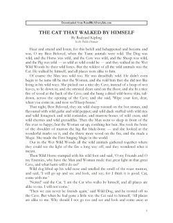 the cat that walked by himself