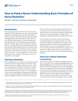 How to Feed a Horse: Understanding Basic Principles of
