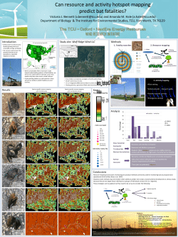 The TCU &bull; Oxford &bull; NextEra Energy Resources WIND RESEARCH