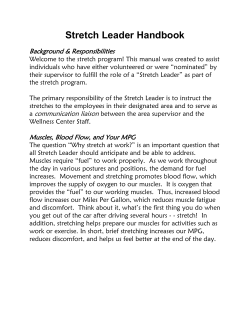 Stretch Leader Handbook - The Weight of the Fox Valley