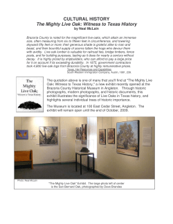 Mighty Live Oak - Texas Master Naturalist