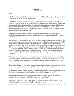 performance criteria