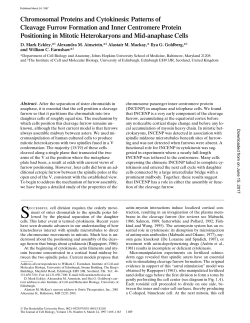 Chromosomal Proteins and Cytokinesis: Patterns of Cleavage