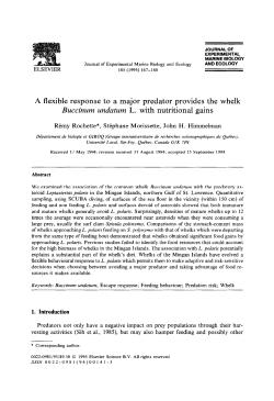 A flexible response to a major predator provides the whelk
