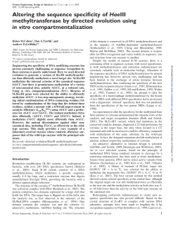 Altering the sequence specificity of HaeIII methyltransferase by