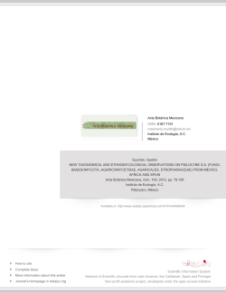 FUNGI, BASIDIOMYCOTA, AGARICOMYCETIDAE