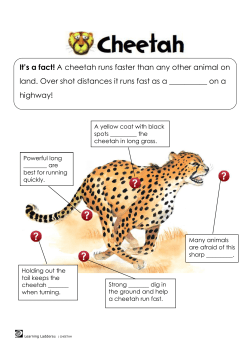 Cheetah - World Book Encyclopedia