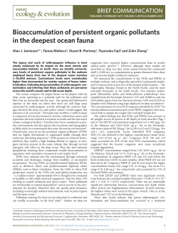 Bioaccumulation of persistent organic pollutants in the deepest