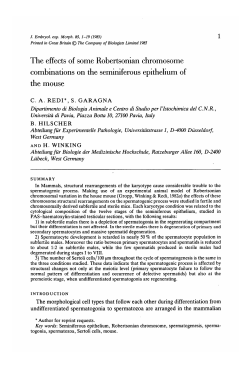 The effects of some Robertsonian chromosome