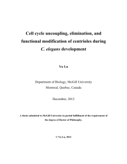 Cell cycle uncoupling, elimination, and functional