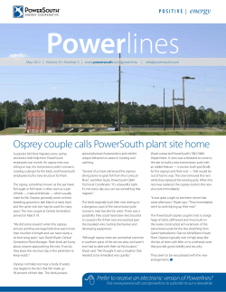 Osprey couple calls PowerSouth plant site home