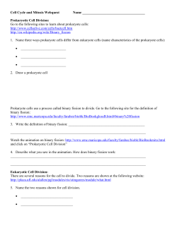 Cell Cycle and Mitosis Webquest