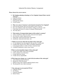 Industrial Revolution Mastery Assignment