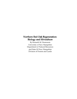 Northern Red Oak Regeneration: Biology and Silviculture