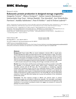 Eukaryotic protein production in designed storage organelles