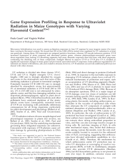 Gene Expression Profiling in Response to Ultraviolet Radiation in