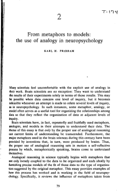 From metaphors to models: the use of analogy in