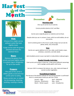 December Carrots - School District of Onalaska