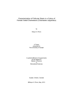 Characterization of Follicular Stasis in a Colony of