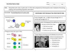 THE STRUCTURE OF DNA DNA