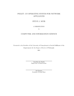piglet: an operating system for network appliances