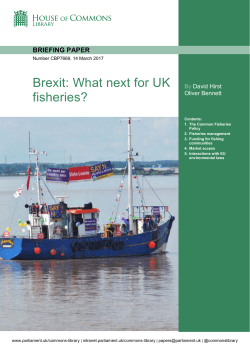 Brexit: What next for UK fisheries?