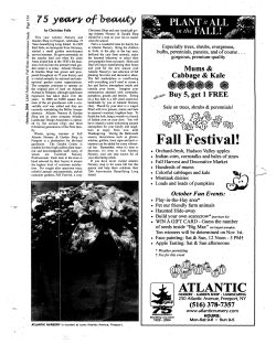 Fall Festival! - NYS Historic Newspapers