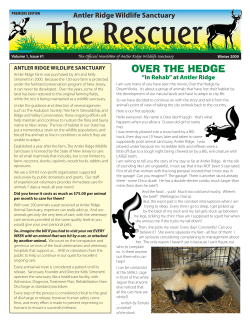 over the hedge - Antler-Ridge Wildlife Sanctuary