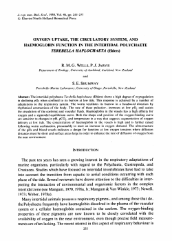 OXYGEN UPTAKE, THE CIRCULATORY SYSTEM, AND