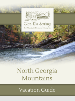 North Georgia Mountains - Glen