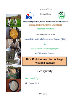 Rice Quality
