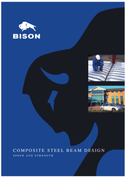 Bison Composite Steel Beam Design
