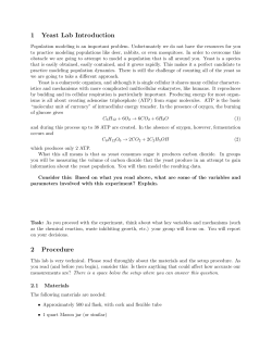 1 Yeast Lab Introduction 2 Procedure