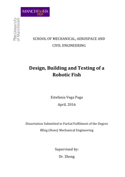 Design, Building and Testing of a Robotic Fish
